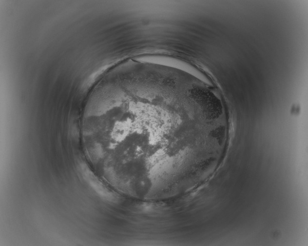 X0000114170345200910151642