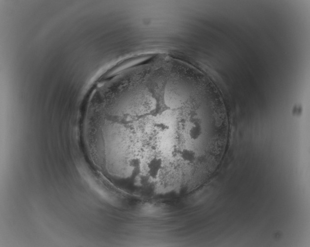 X0000114170346200910151642