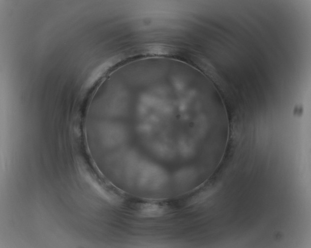 X0000114170347200910151642