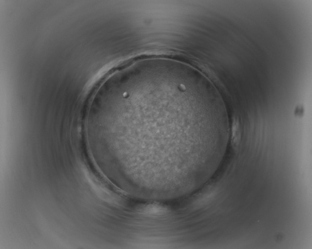 X0000114170348200910151642