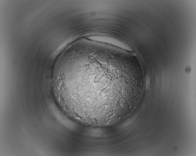 X0000114170349200910151642