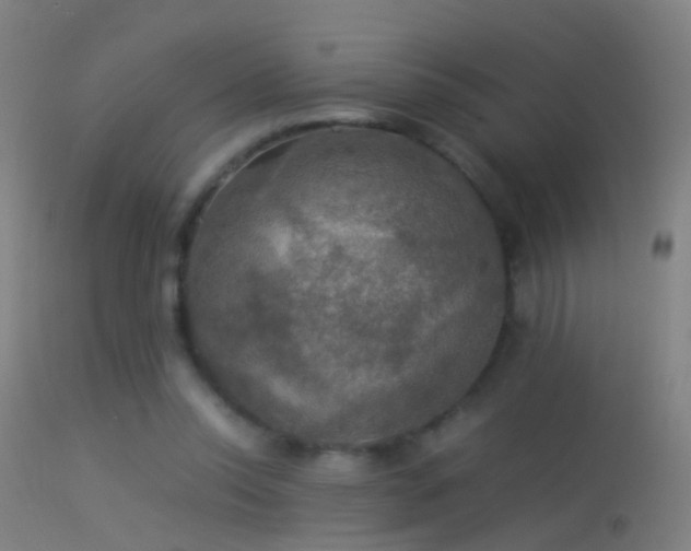 X0000114170350200910151642