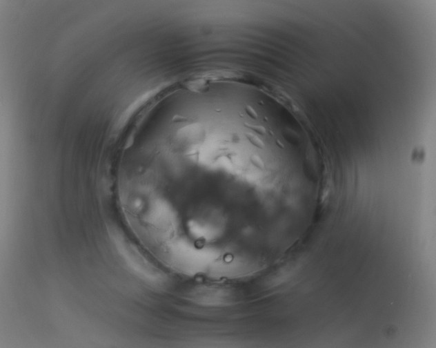 X0000114170351200910151642