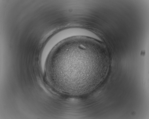 X0000114170352200910151642