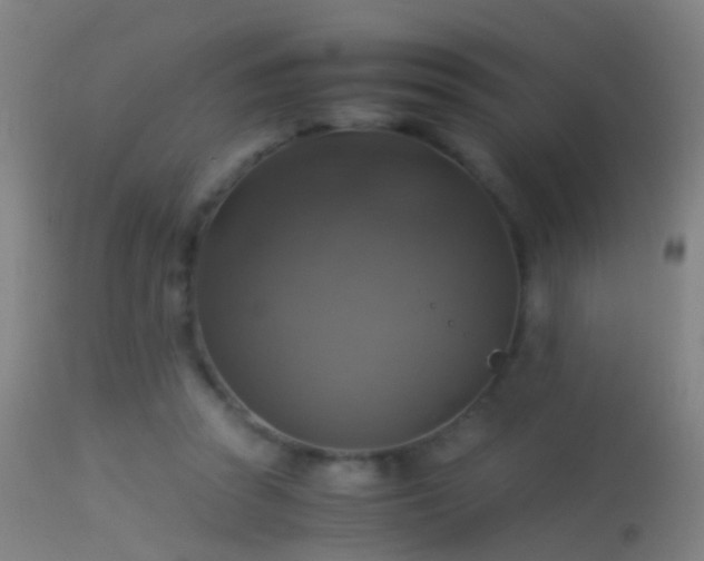 X0000114170353200910151642