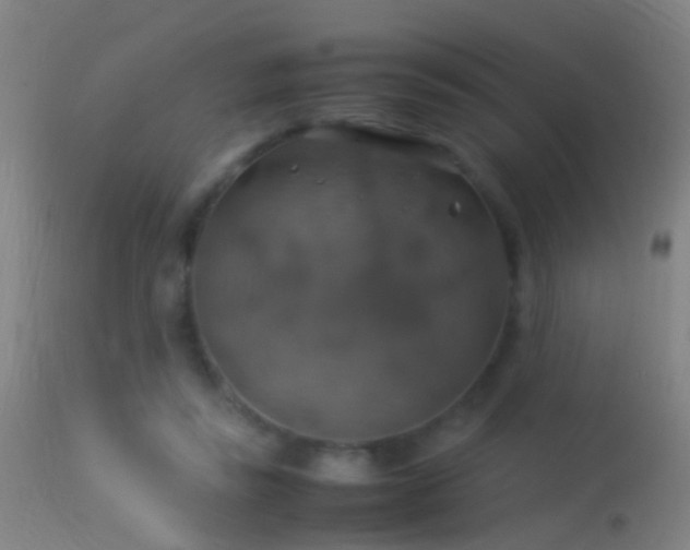 X0000114170355200910151642