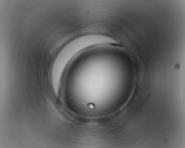 X0000114170356200910151642