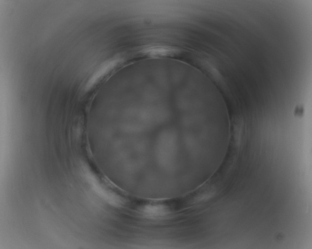 X0000114170357200910151642