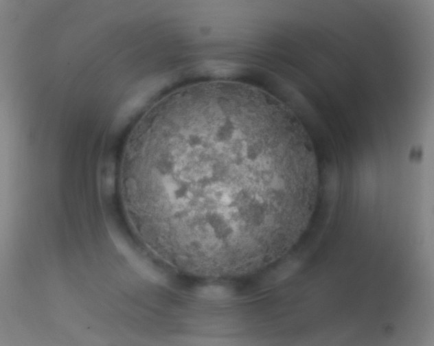 X0000114170358200910151642