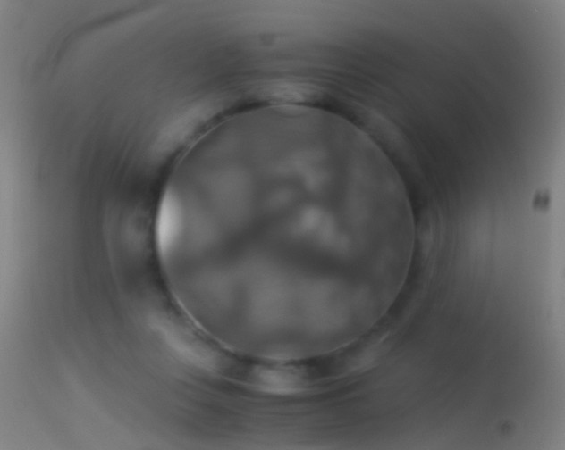 X0000114170359200910151642