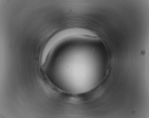 X0000114170360200910151642