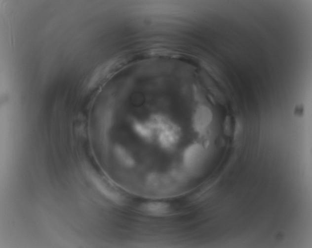 X0000114170361200910151642