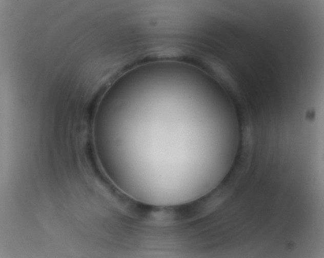 X0000114170362200910151642