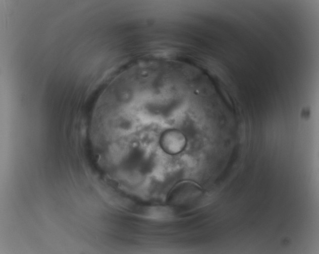 X0000114170363200910151642