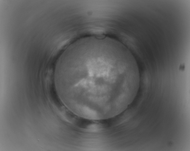 X0000114170364200910151642