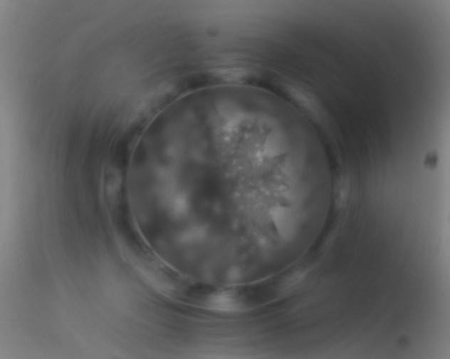 X0000114170365200910151642