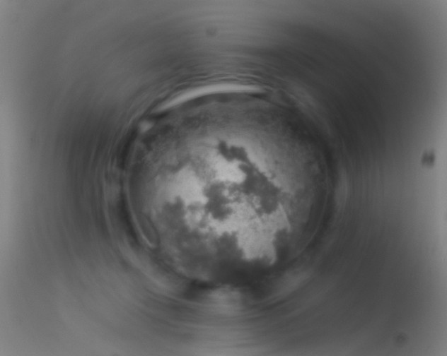 X0000114170366200910151642