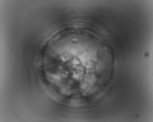 X0000114170367200910151642