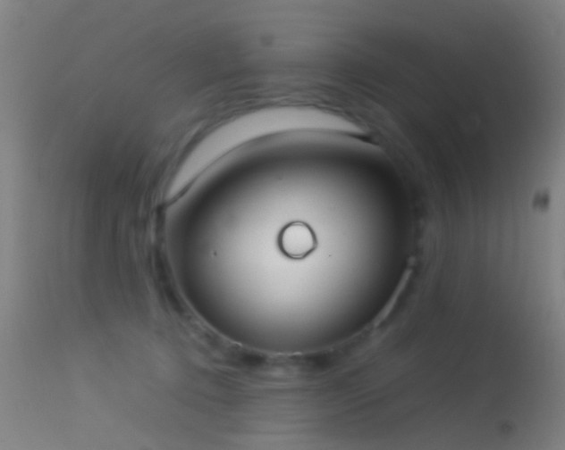 X0000114170368200910151642