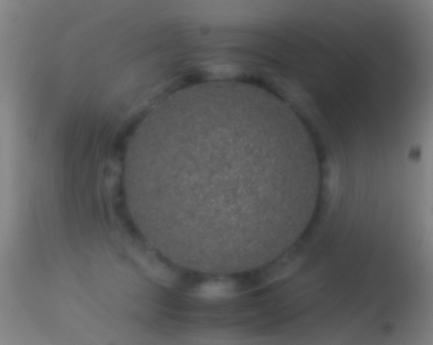 X0000114170369200910151642