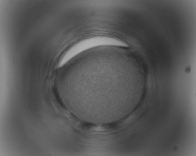 X0000114170370200910151642