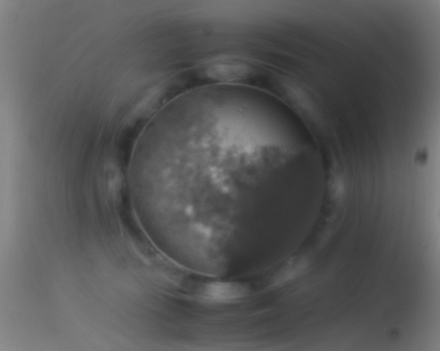 X0000114170371200910151642