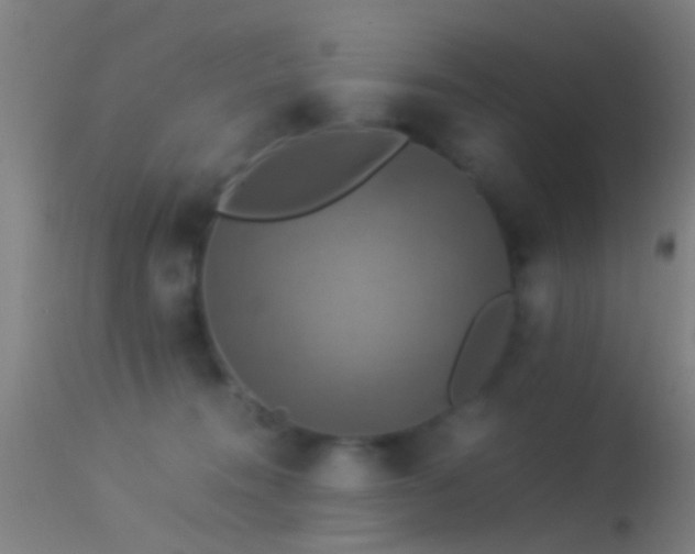 X0000114170372200910151642