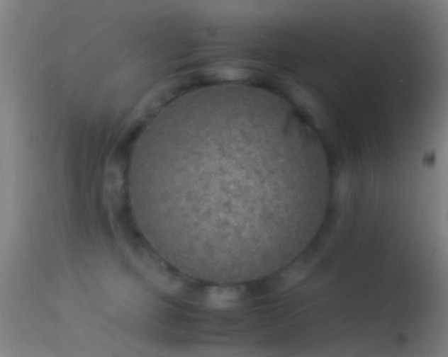 X0000114170373200910151642