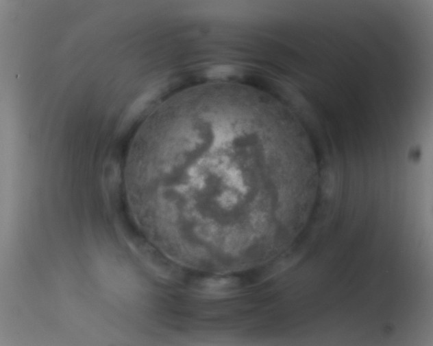 X0000114170375200910151642