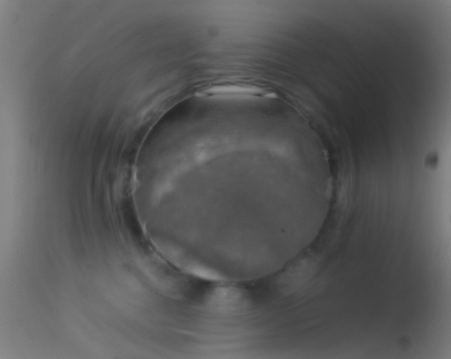 X0000114170376200910151642