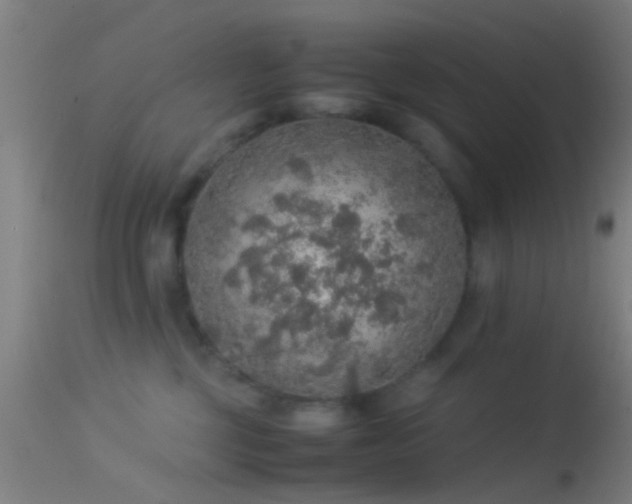 X0000114170377200910151642