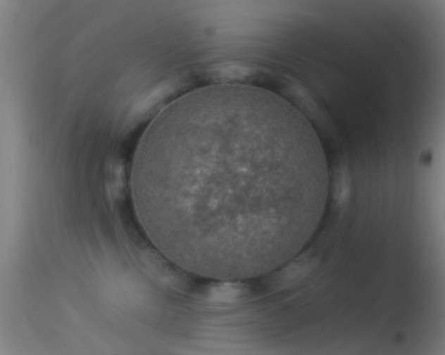 X0000114170378200910151642