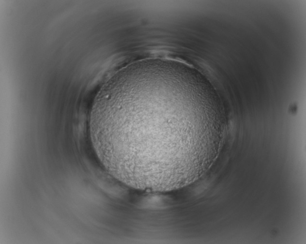 X0000114170379200910151642