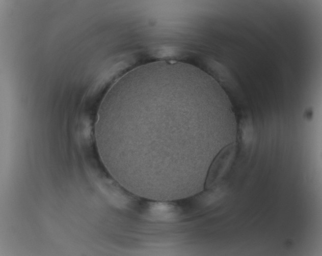 X0000114170380200910151642