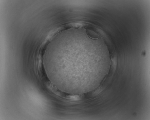 X0000114170381200910151642