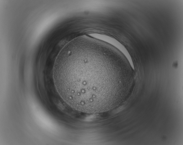 X0000114170382200910151642