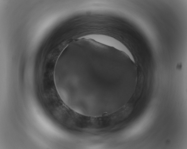 X0000114170383200910151642