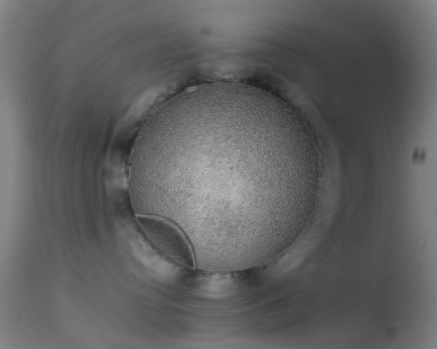 X0000114170384200910151642