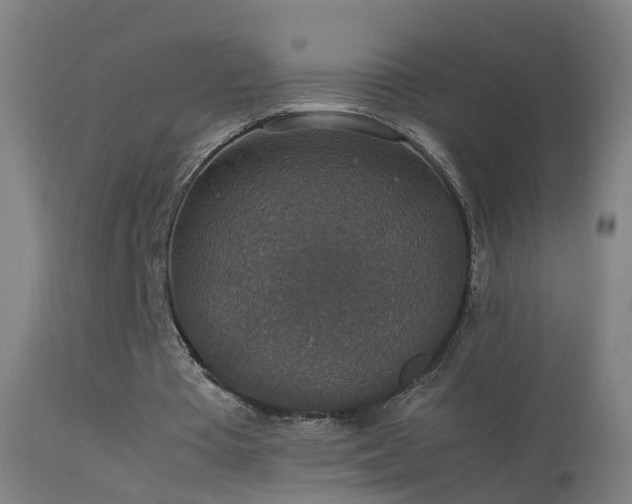 X0000114170385200910151642