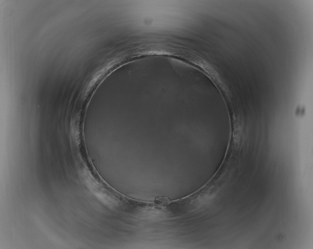 X0000114170386200910151642