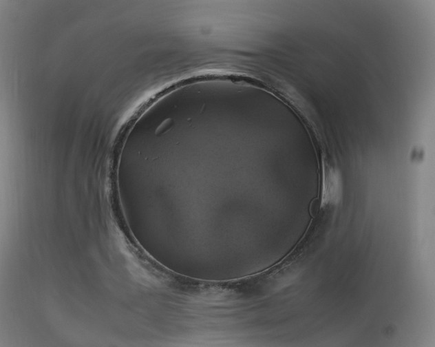 X0000114170387200910151642