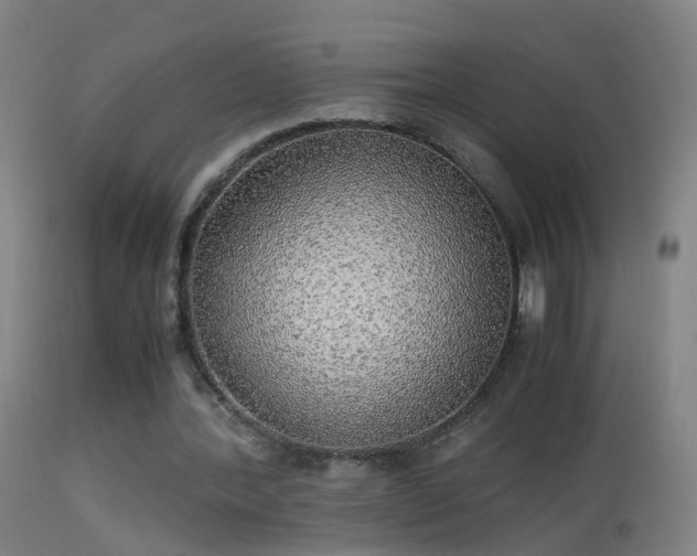 X0000114170388200910151642