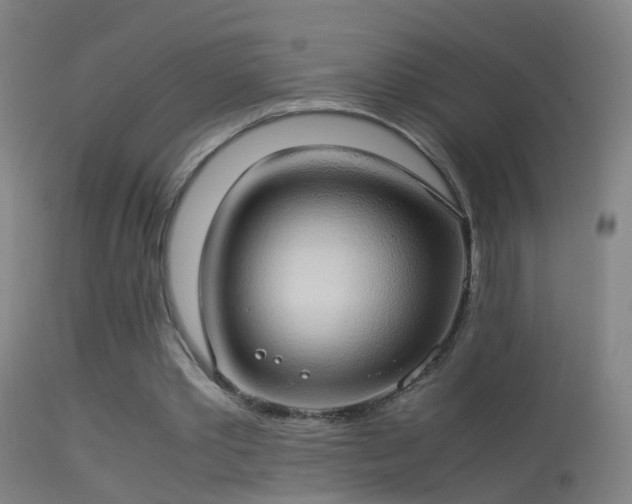 X0000114170389200910151642