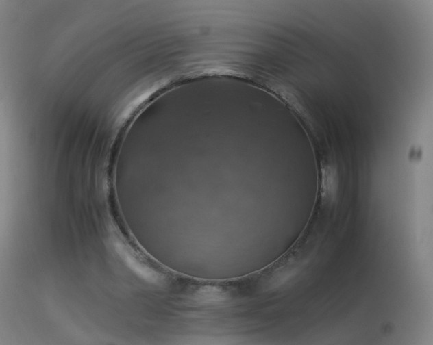 X0000114170390200910151642