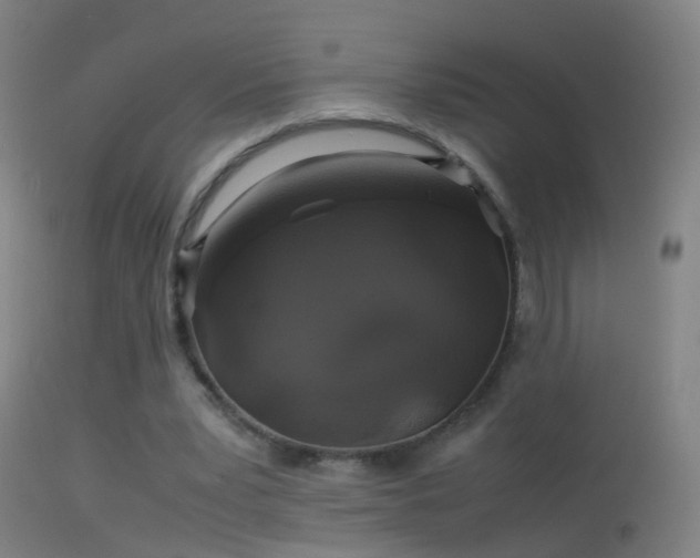 X0000114170391200910151642