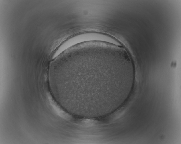 X0000114170393200910151642