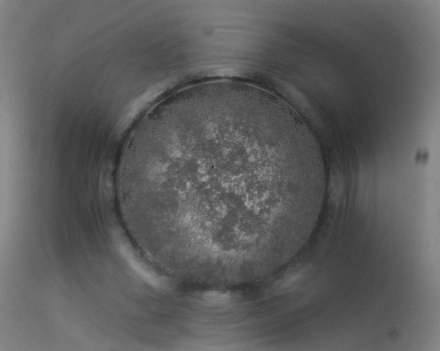 X0000114170394200910151642