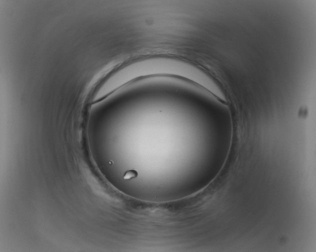 X0000114170395200910151642