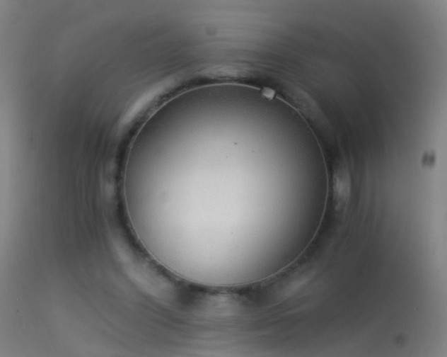 X0000114170396200910151642