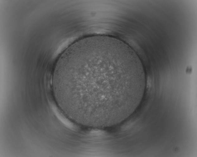 X0000114170397200910151642